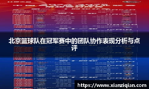北京篮球队在冠军赛中的团队协作表现分析与点评